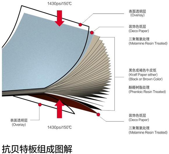 格林雅抗倍特板組成圖解